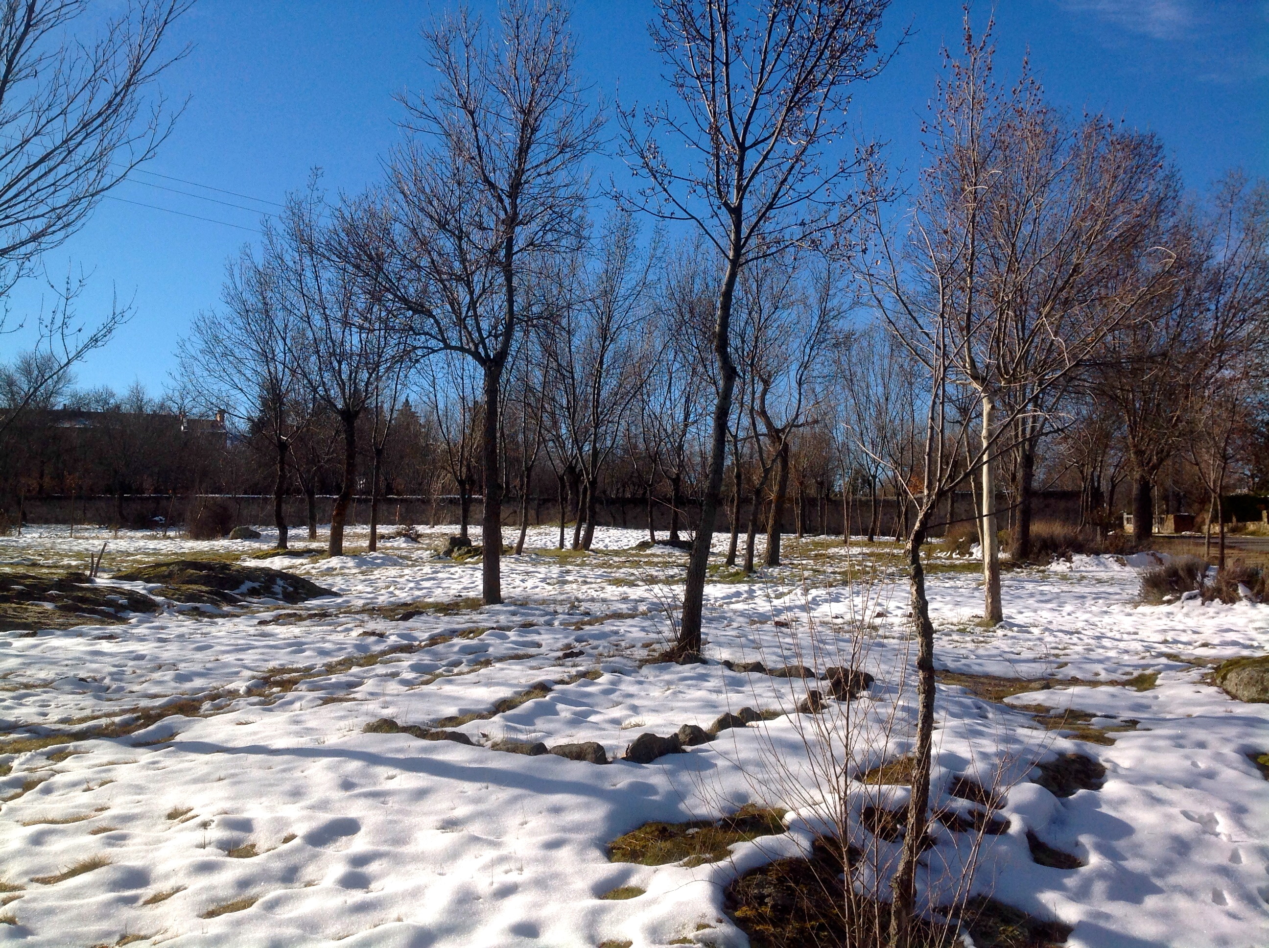 Paisaje nevado